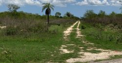 Venta de Terreno en Yaxkukul