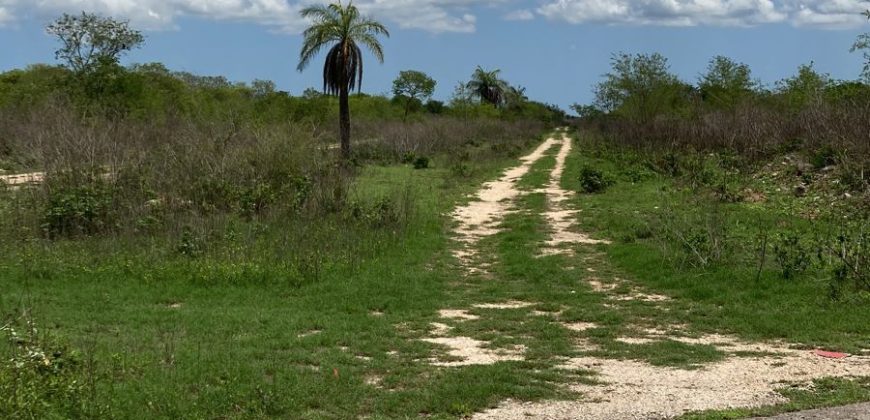Venta de Terreno en Yaxkukul